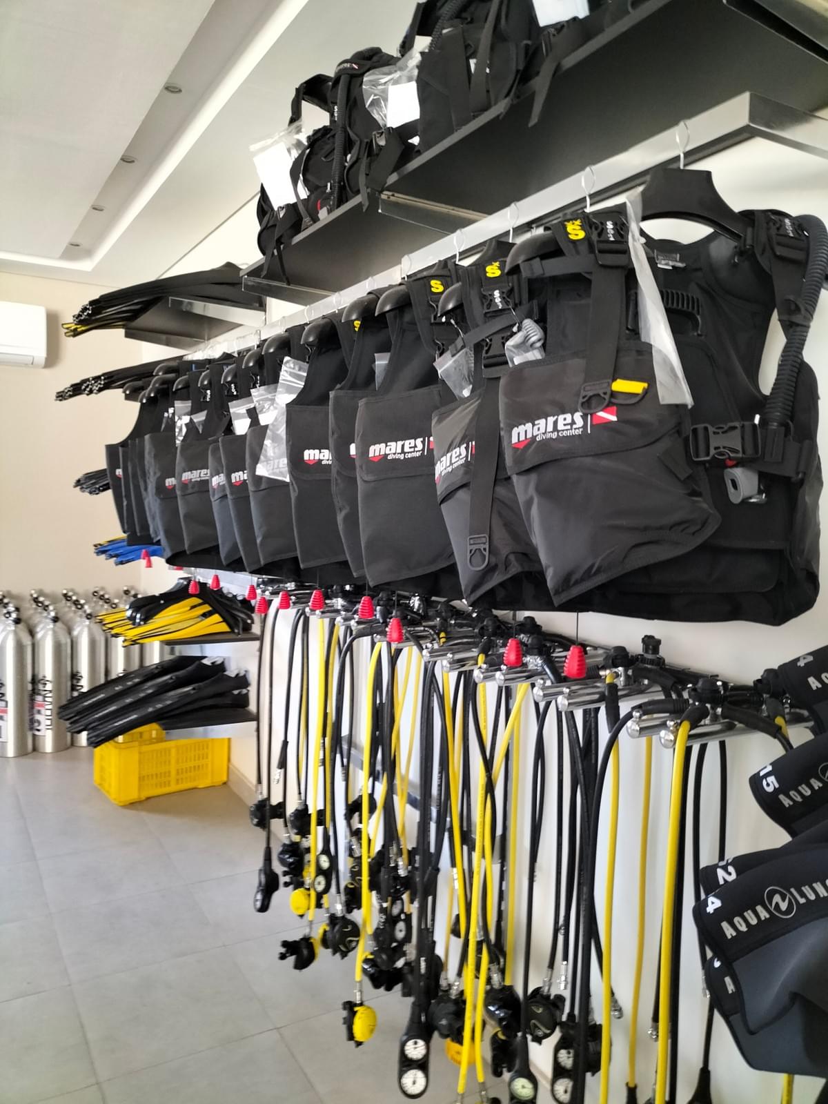 Daily Diving Trips