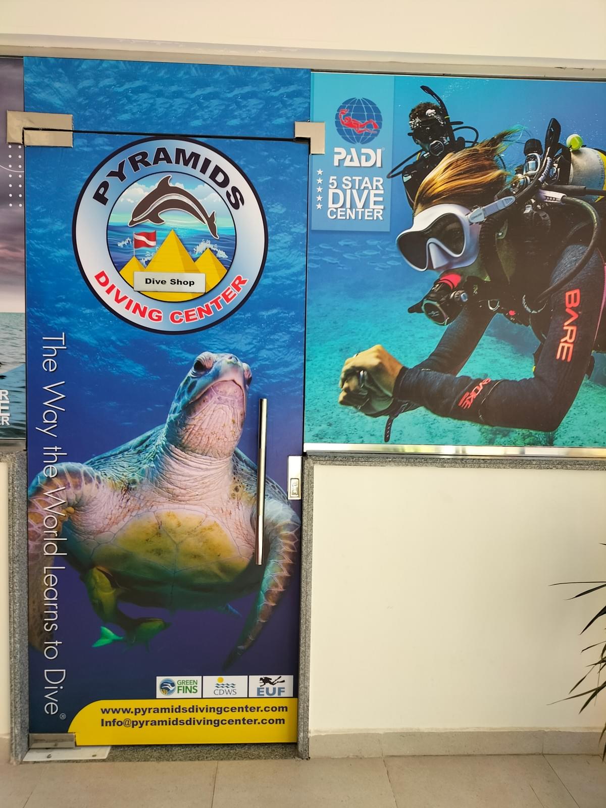 Daily Diving Trips