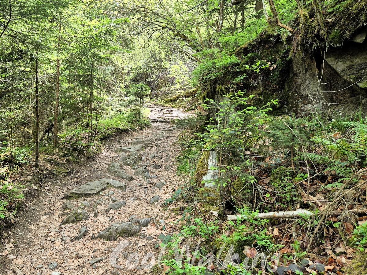 Section image
