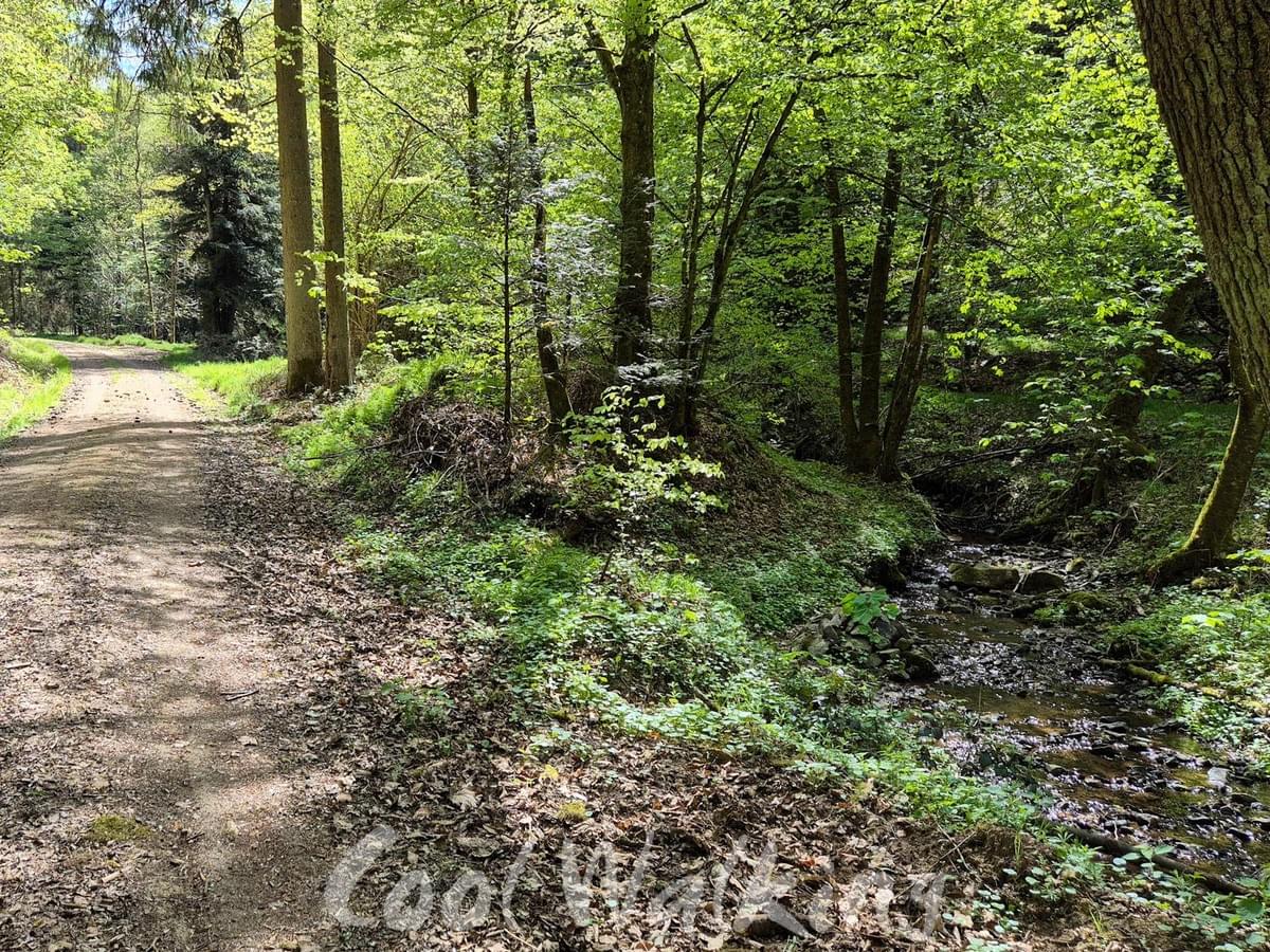 Section image