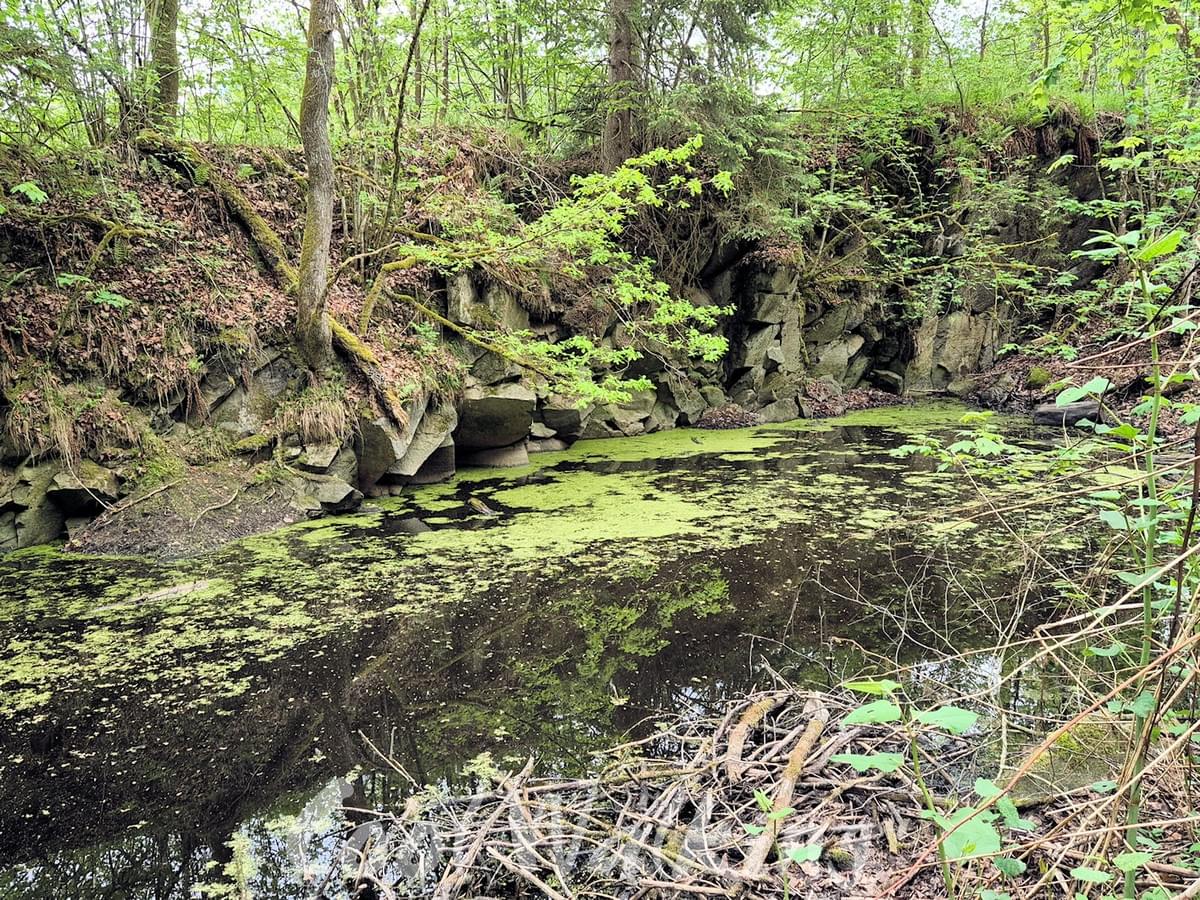 Section image