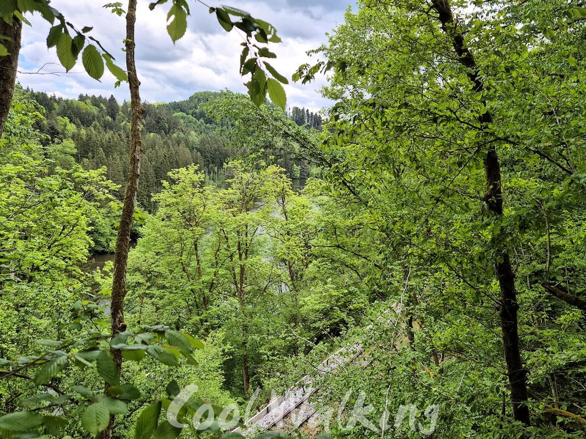 Section image