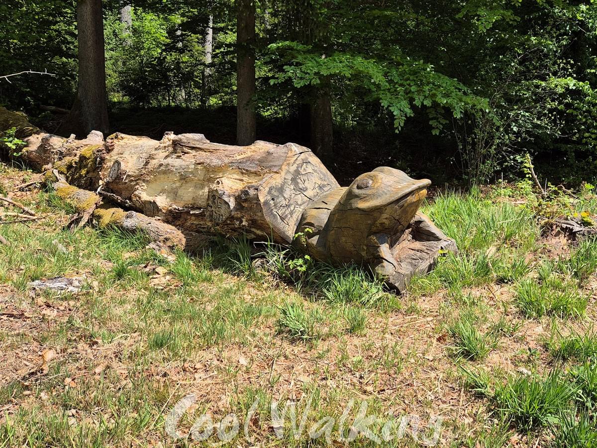 Section image