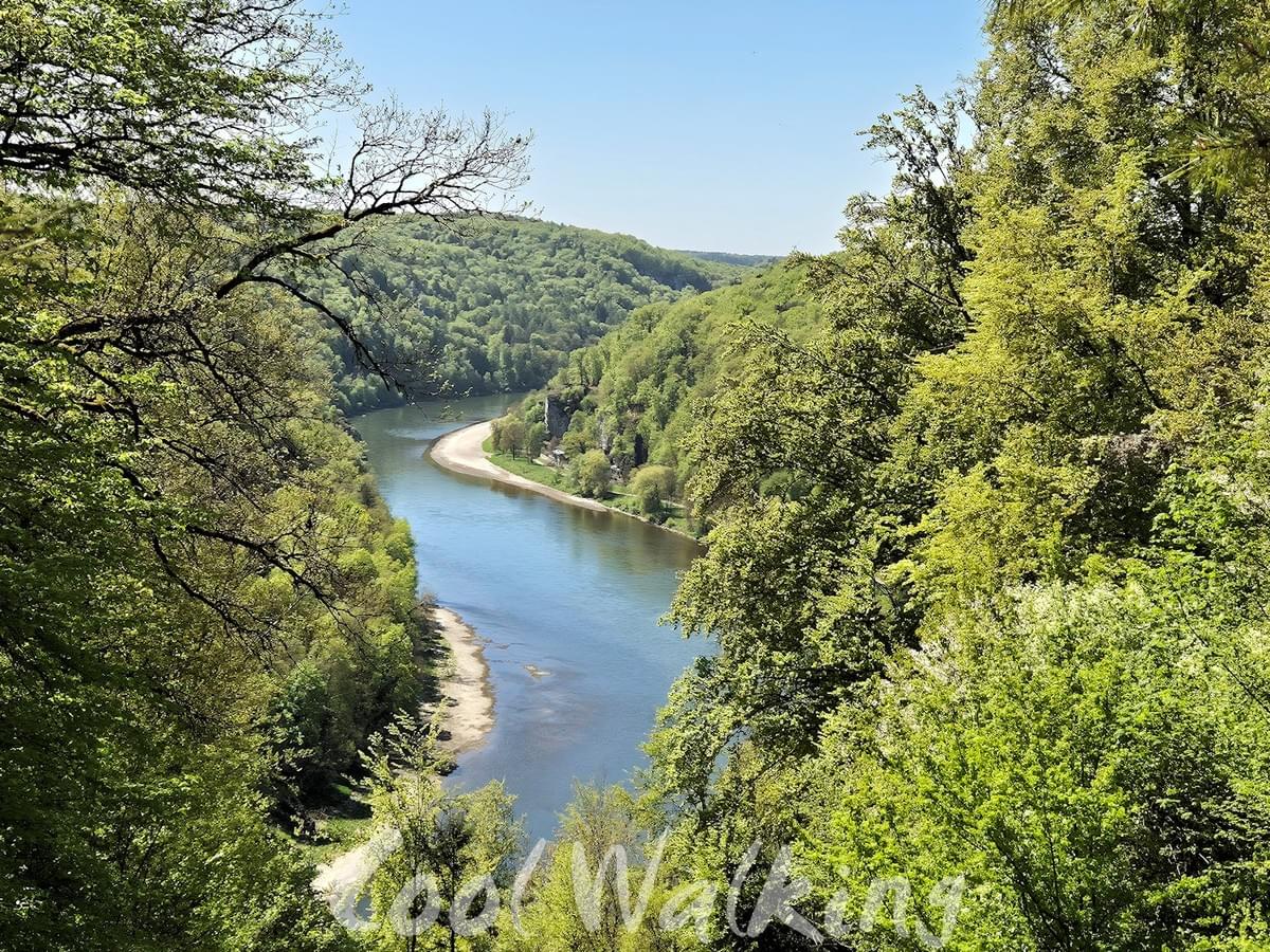 Section image