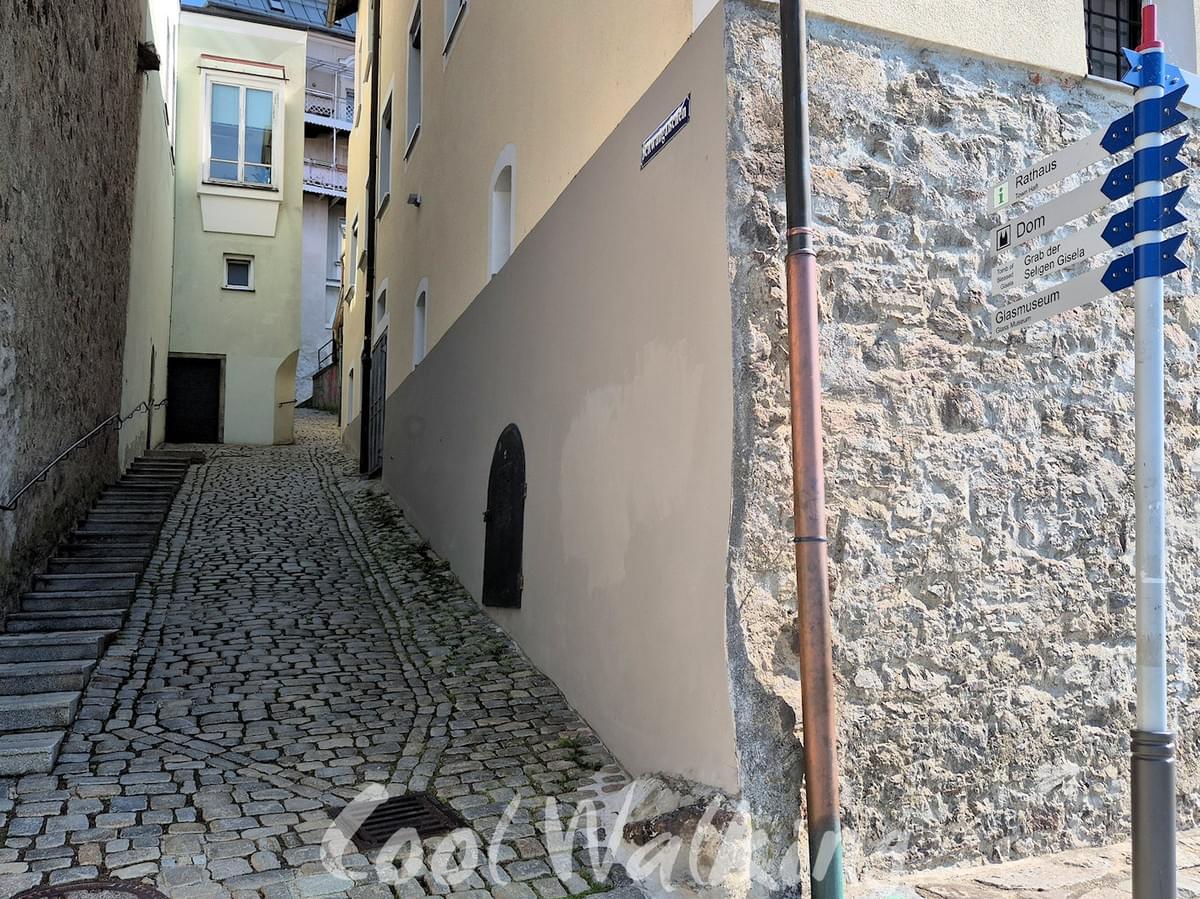 Section image