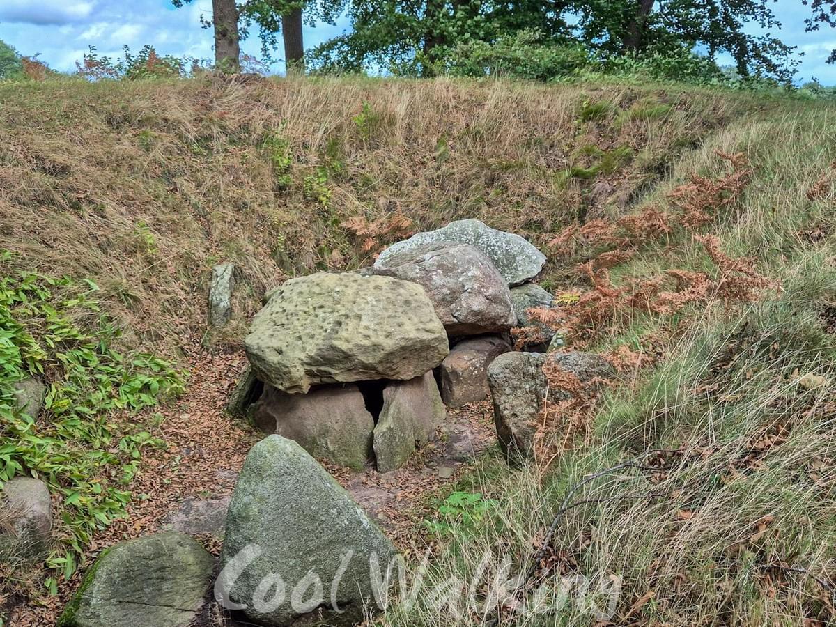Section image