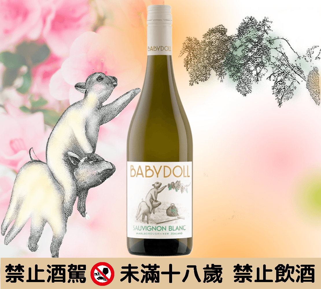 2023 寶貝羊白蘇維翁白酒