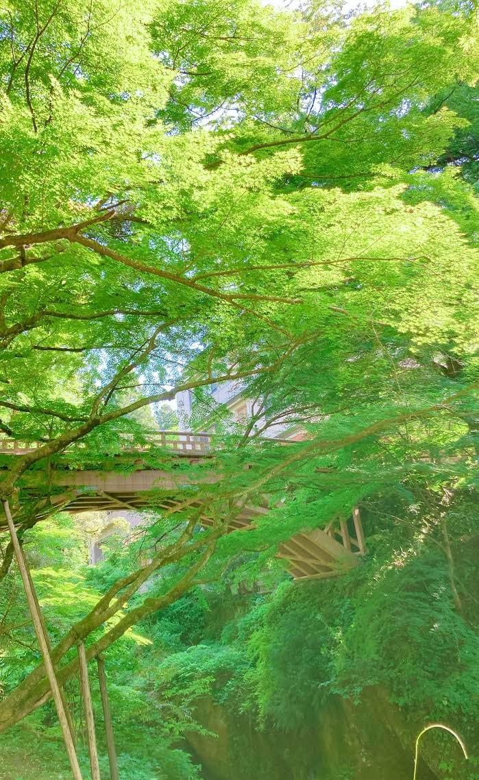 Section image