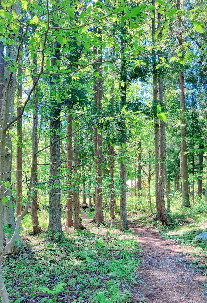Section image