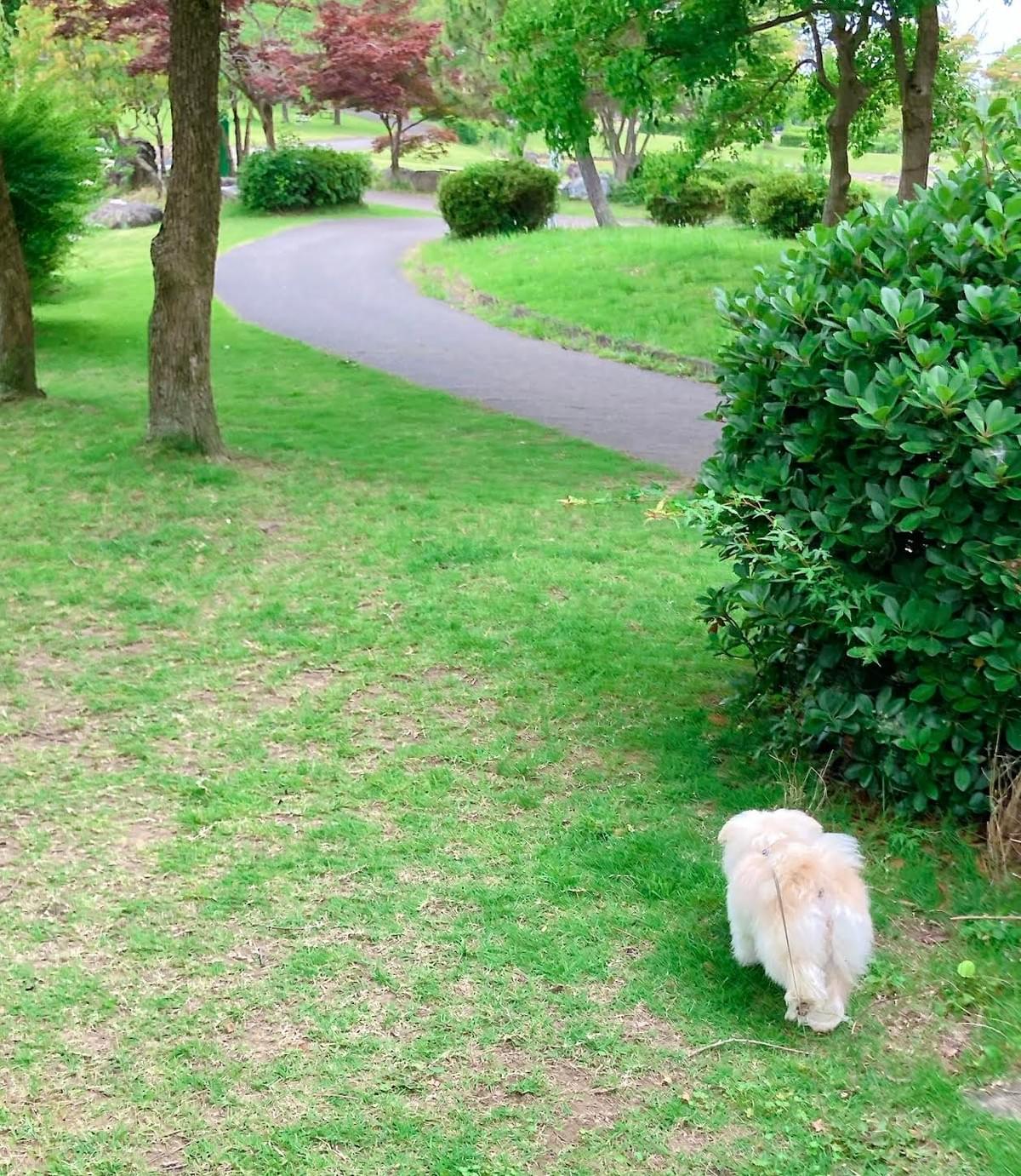 Section image
