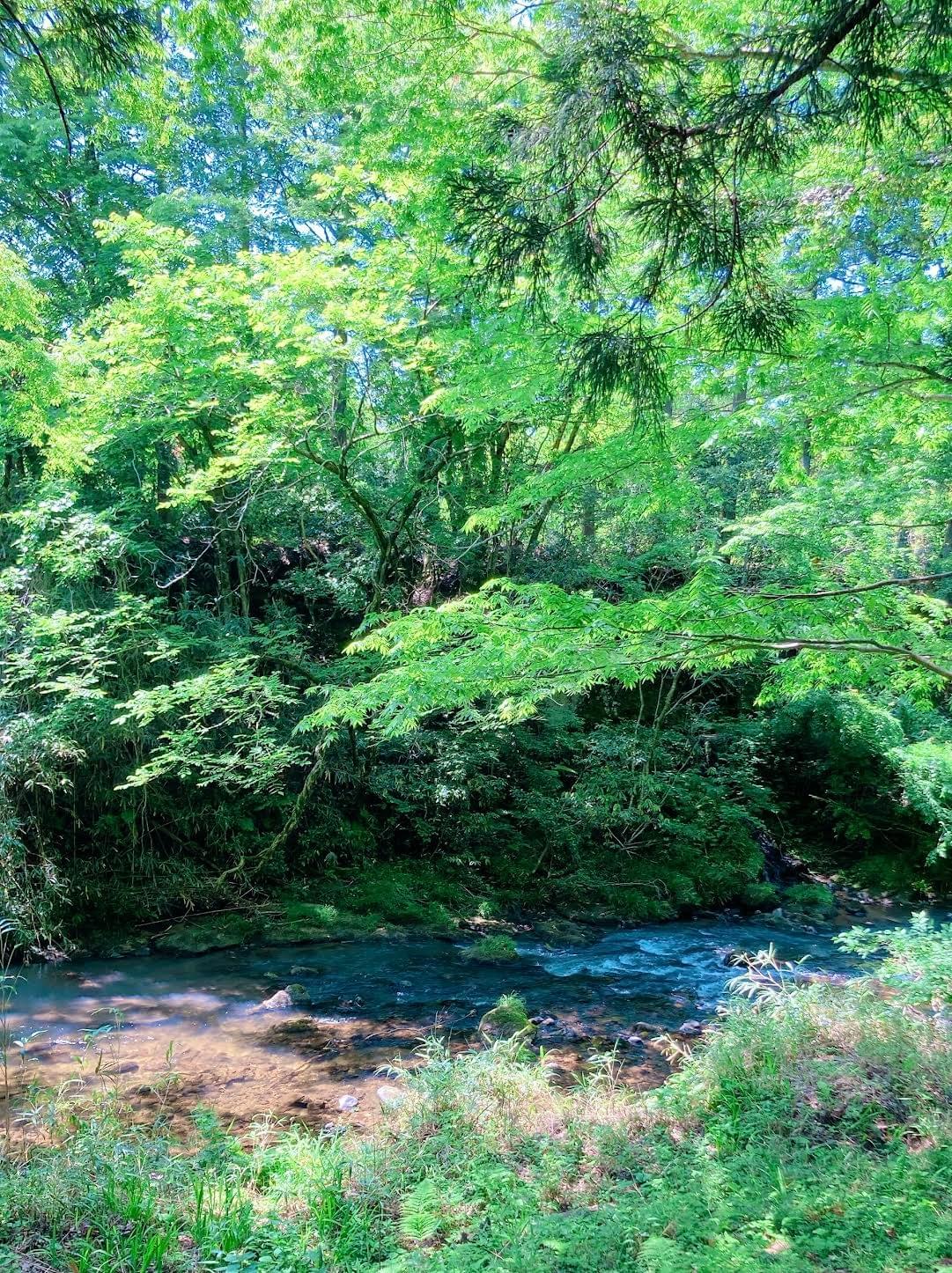 Section image