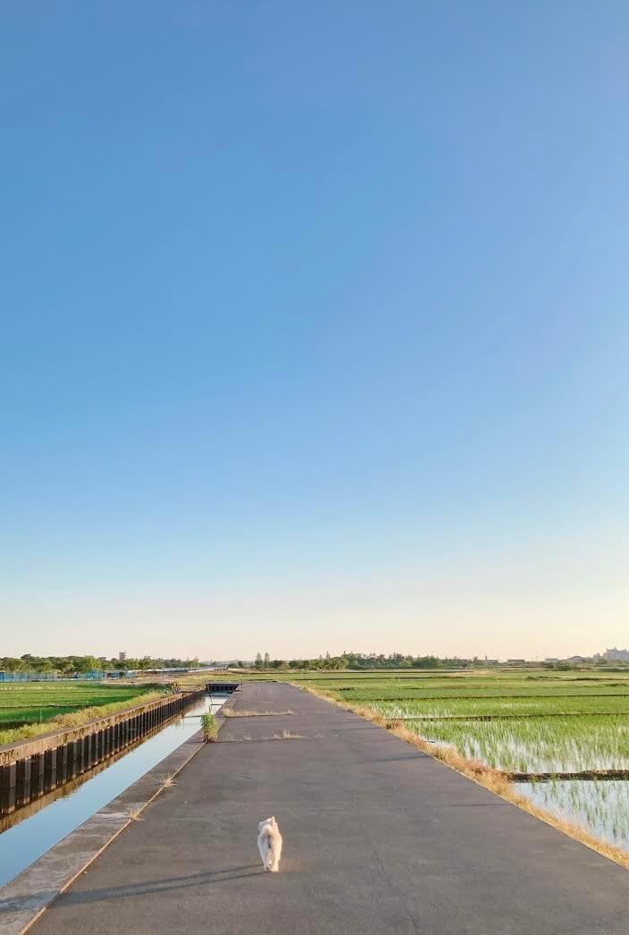 Section image