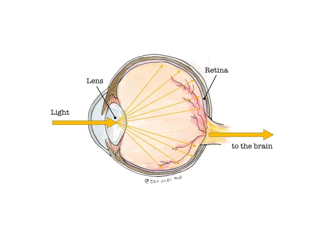Congenital Cataracts - Happy Eyes