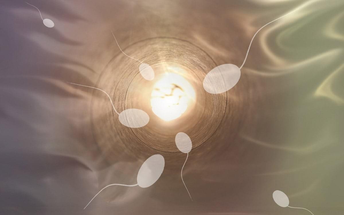 At Miwa Health Technology, we understand that each journey to parenthood is unique. Our personalized fertility concierge services ensure that you receive the support and guidance you need, from initial consultation to successful outcome. Our team is dedicated to providing a customized approach that aligns with your specific needs and circumstances. Personalized Fertility Concierge What We Offer Miwa Health Technology, proudly part of the esteemed ACRC Fertility Holding Group, offers personalized fertility concierge services for intended parents across the Asia-Pacific region. Registered in Singapore and Mainland China, Miwa connects you with world-class fertility experts, providing comprehensive services including IVF, surrogacy matching, egg and sperm donation, maternity concierge care, and embryo transportation. Our dedicated team ensures a smooth, compassionate journey toward parenthood, tailored to your specific needs.