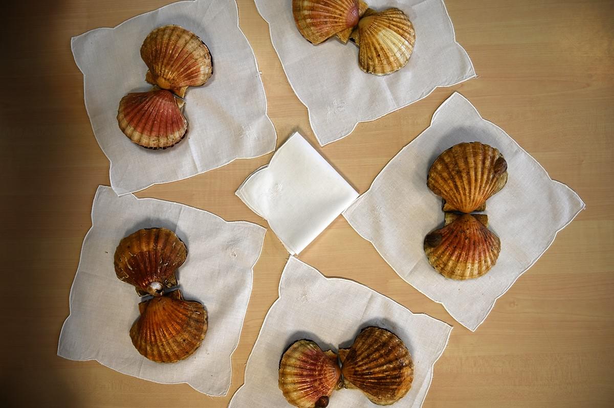 image credit : Hélène Gugenheim