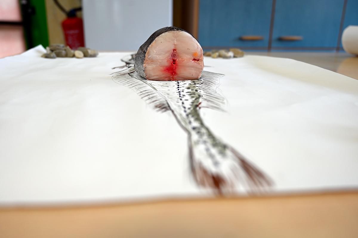 image credit : Hélène Gugenheim