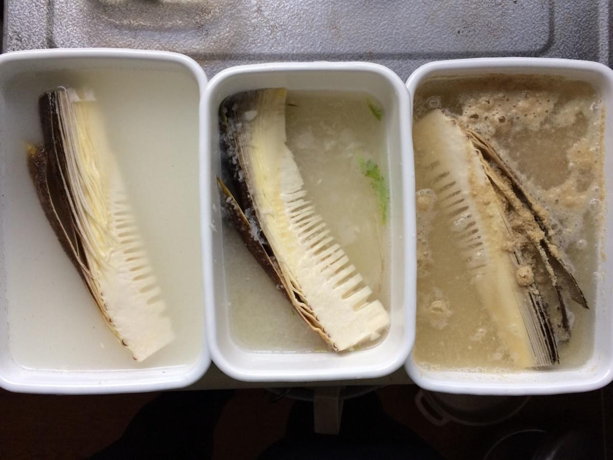 たけのこのあく抜き えぐみを感じる現象とあく抜き比較実験