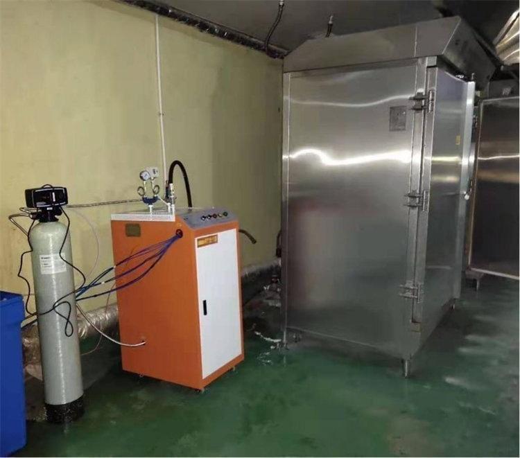 Induction Steam Generator