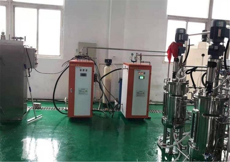 Induction Steam Generator