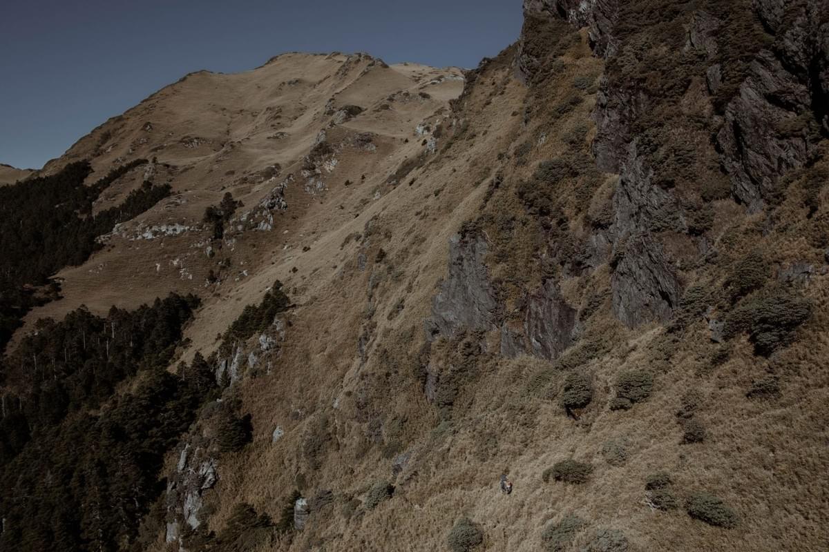 Section image