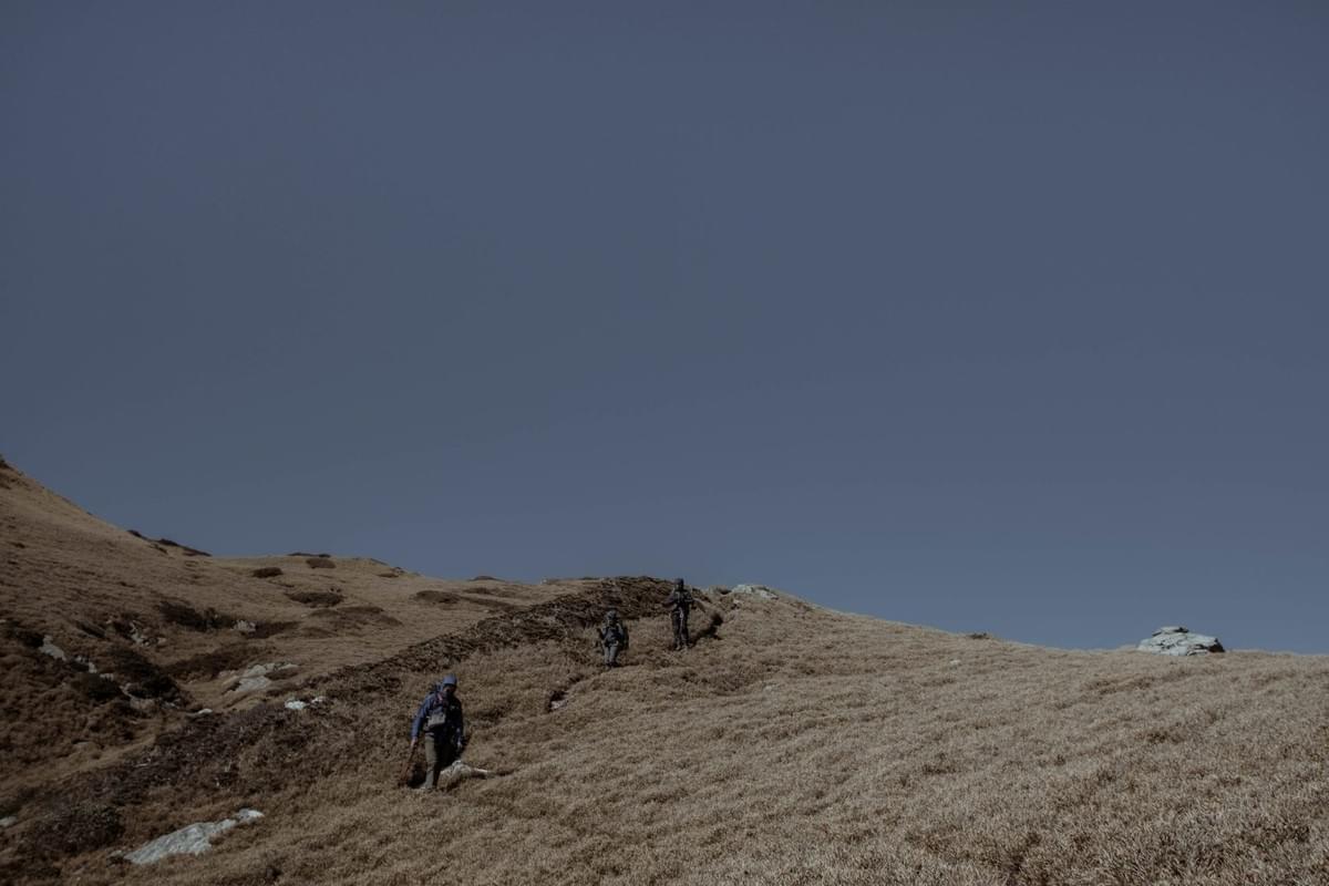 Section image