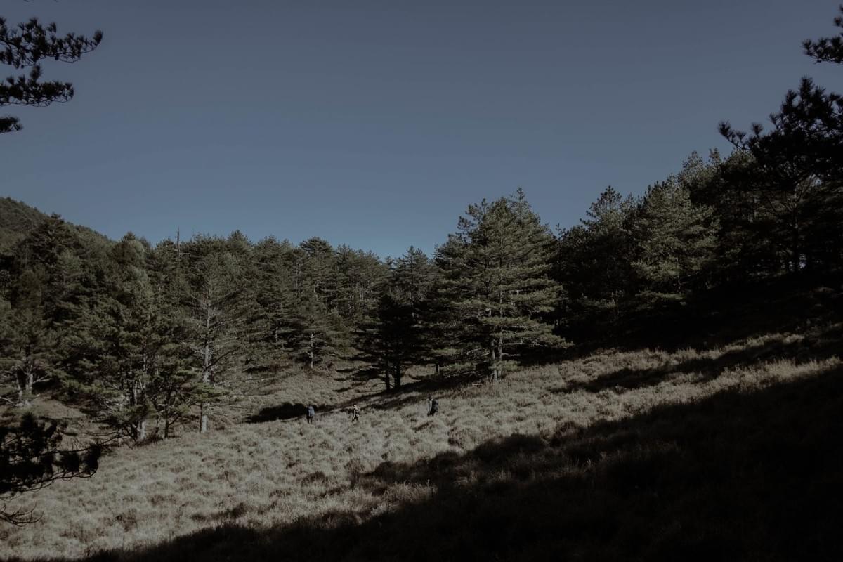 Section image