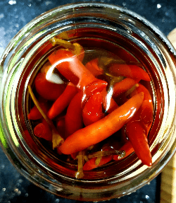 Hot peppers, hot sauce peppers