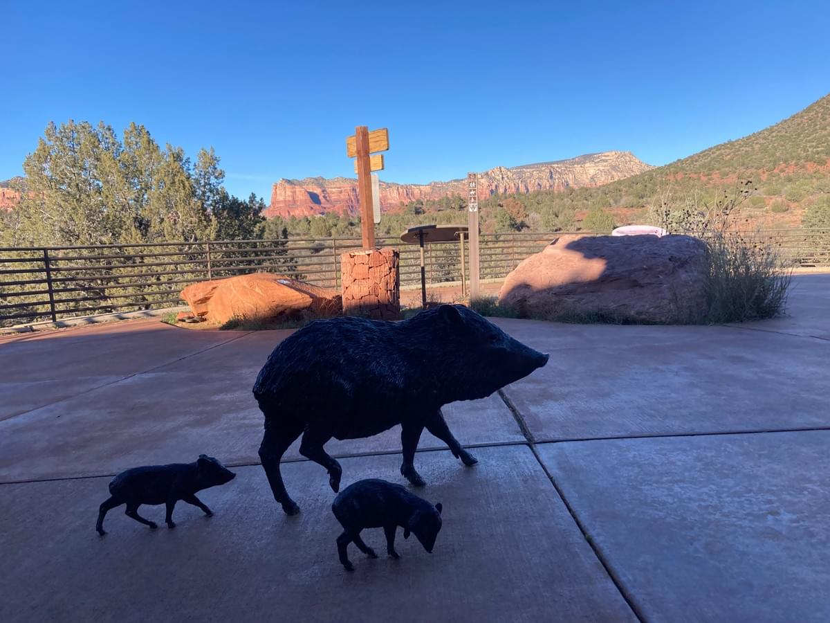 Sedona Red Rock Ranger Vistor Center