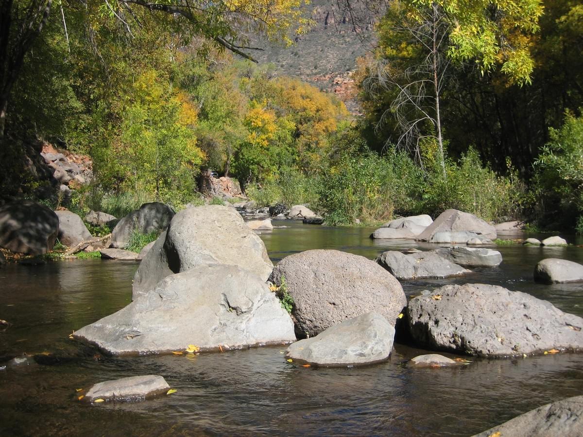 Section image