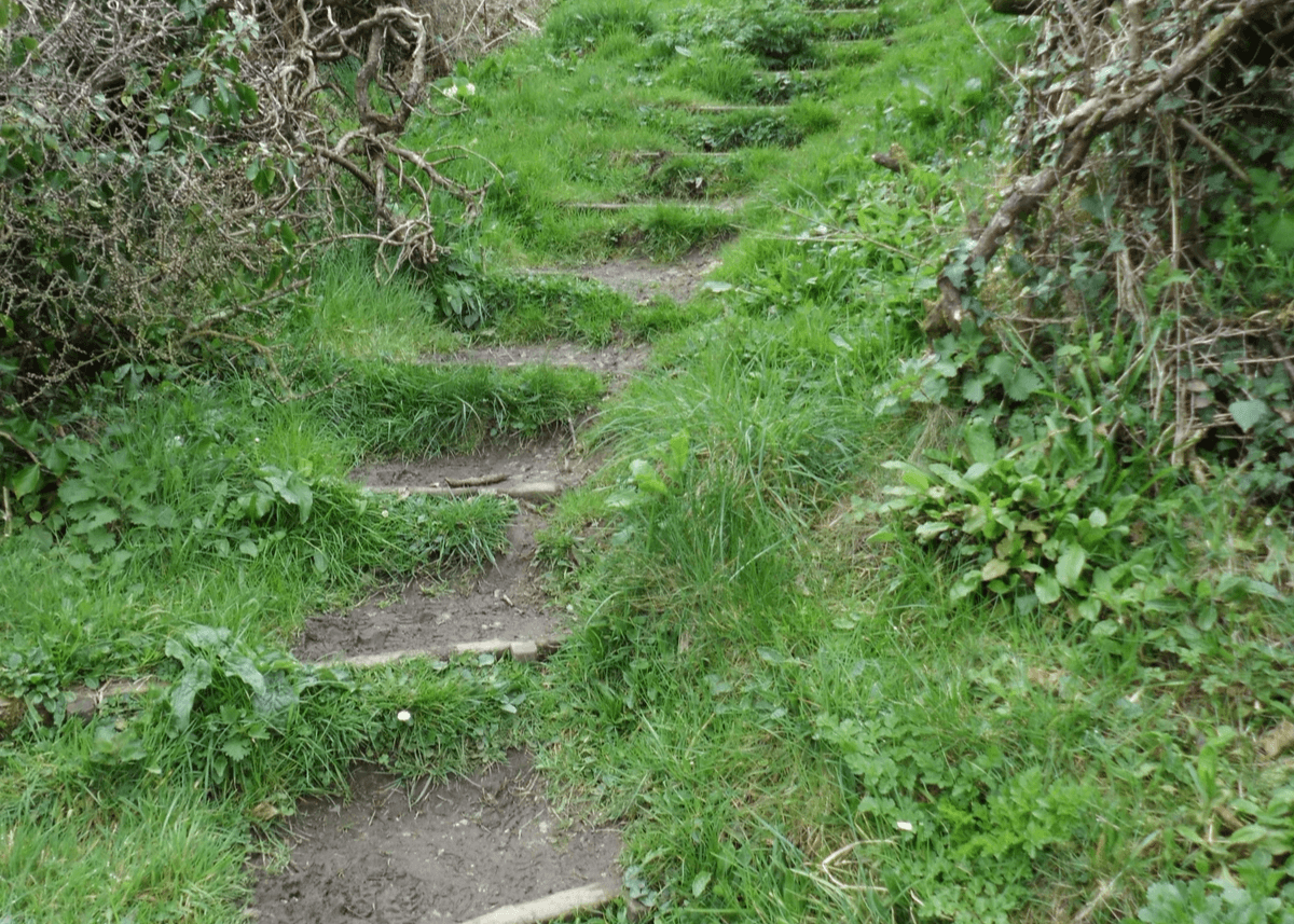 adult reflecting on life with autism and ADHD – concept of AuDHD and neurodiversity awareness - counselling and therapy