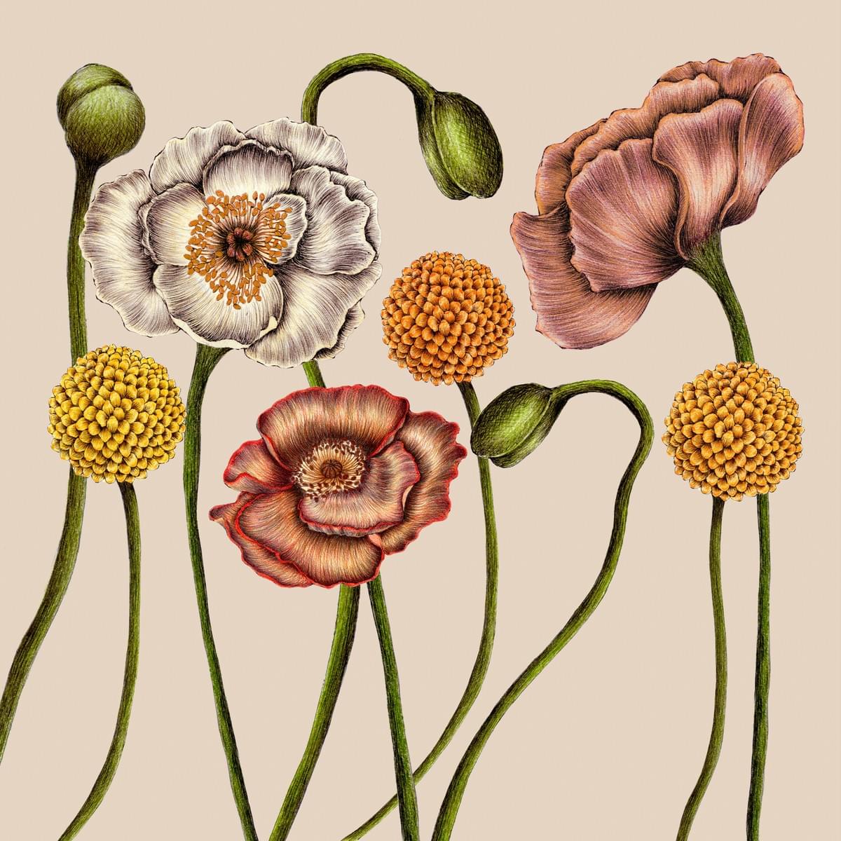 Aiko Fukuda Studio 福田 愛子