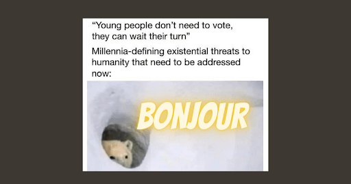 A meme with the text: "Young people don't need to vote, they can wait their turn" – Millennia-defining existential threats to humanity that need to be addressed now: Bonjour. An image of an ice bear's head looking out of an ice cave.