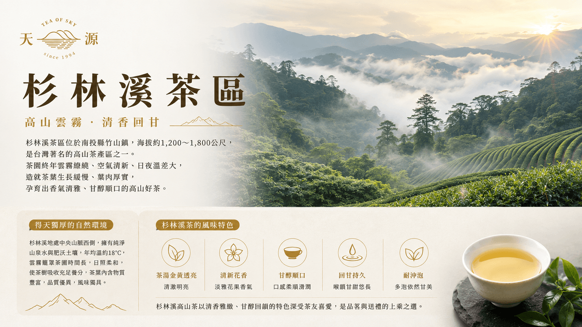 忘憂杉林溪