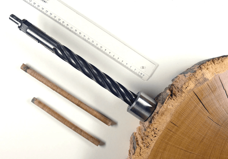 Sursa foto: Wikipedia