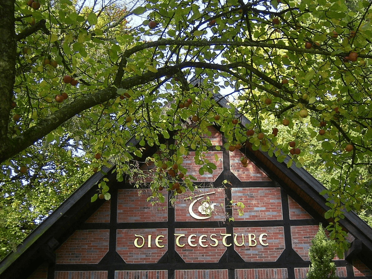 Section image