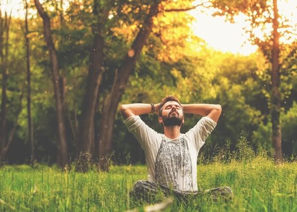 Méditation en foret 