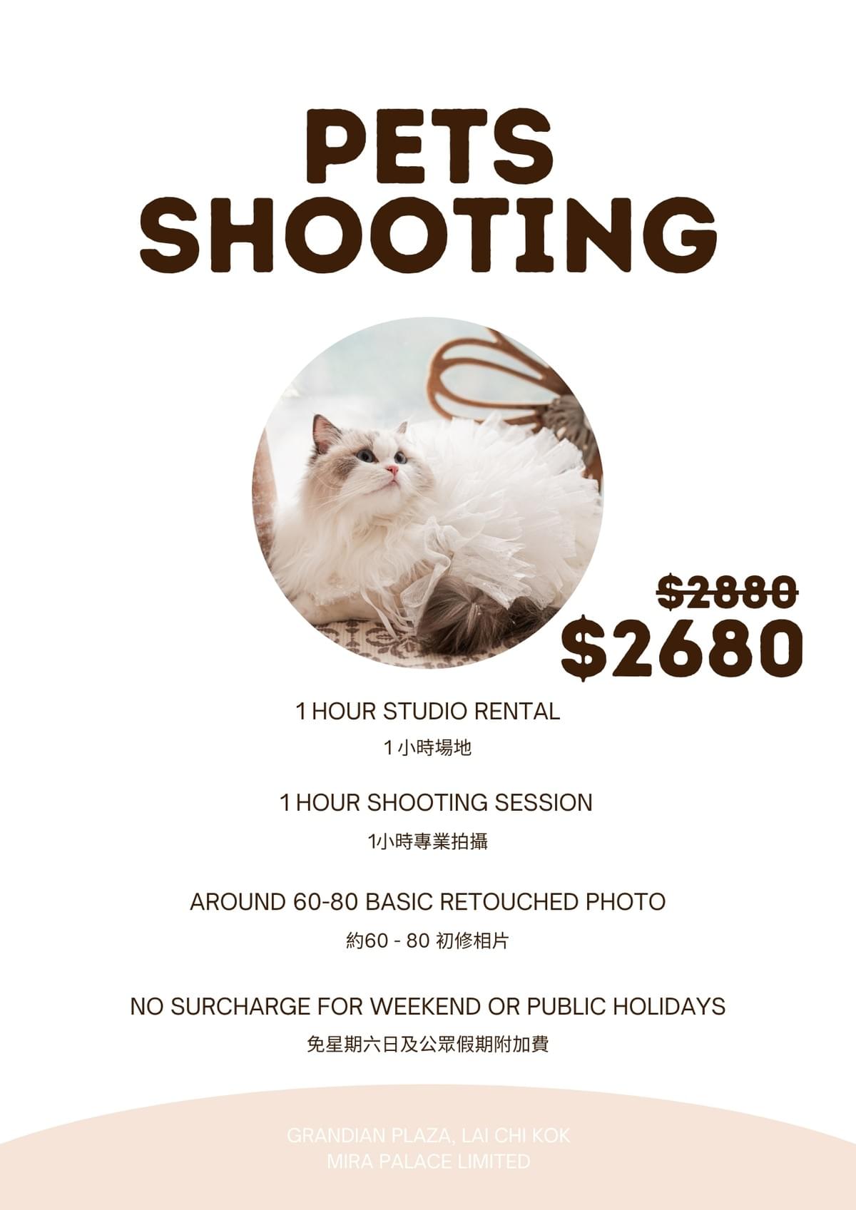 寵物攝影 Pets Shooting
