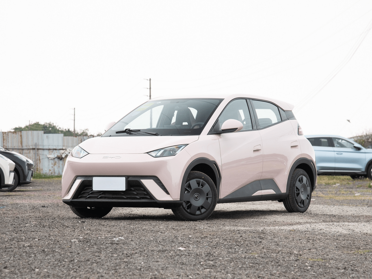 BYD 2024 Seagull Honor Edition Pure Electric Vehicle