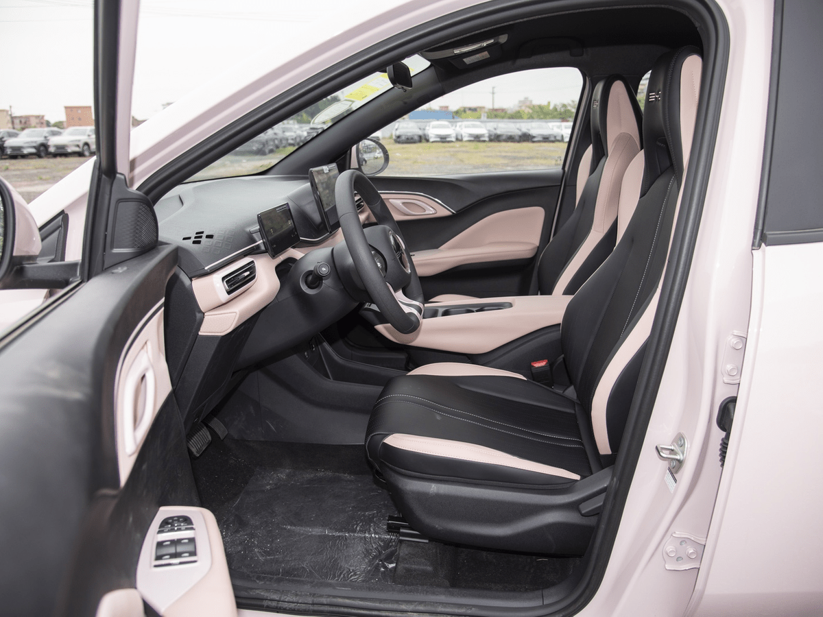 BYD 2024 Seagull Honor Edition Pure Electric Vehicle