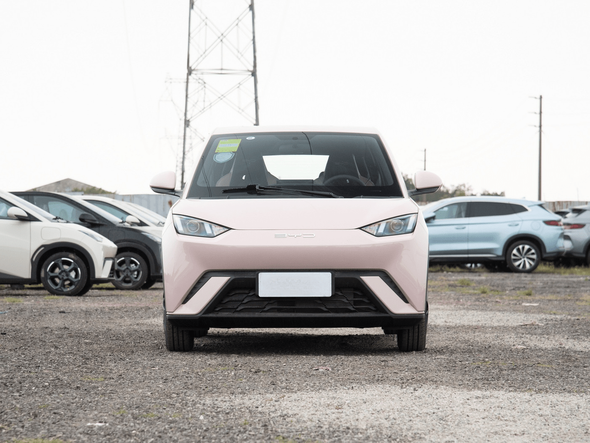 BYD 2024 Seagull Honor Edition Pure Electric Vehicle