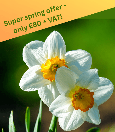 Five-Minute Coach coaching offer