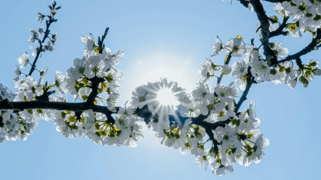 The Five-Minute Coach