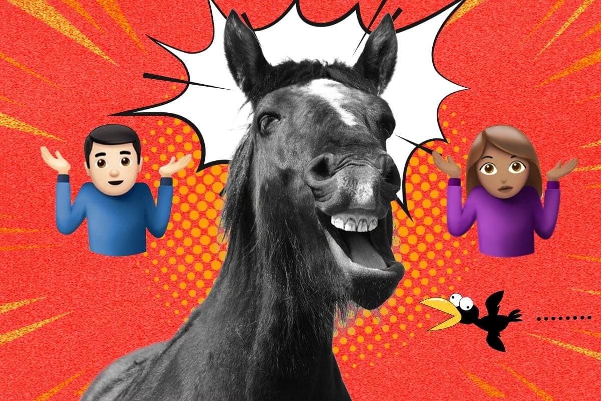 香港星匯娛樂城賽馬投注