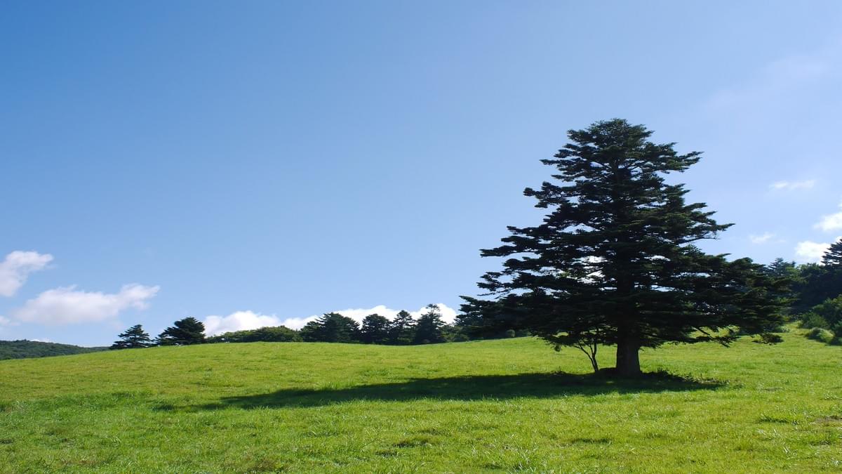 もみのき森林公園 家族でワクワク