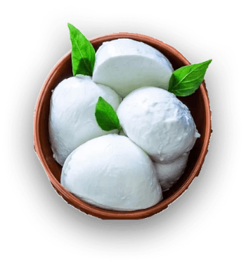 Fresh mozzarella balls garnished with basil leaves in a terracotta bowl. Fresh mozzarella balls garnished with basil leaves in a terracotta bowl.