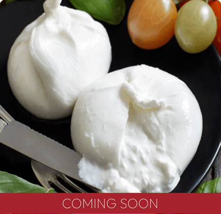 Creamy burrata cut open to reveal its soft centre.