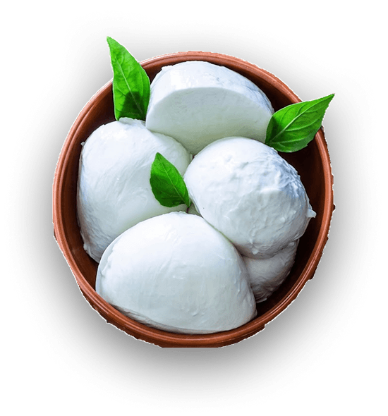 Fresh mozzarella balls garnished with basil leaves in a terracotta bowl. Fresh mozzarella balls garnished with basil leaves in a terracotta bowl.