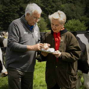Eunice Power & Cheesemaker Eamonn Lonergan tasting mozzarella beside the Friesian herd.