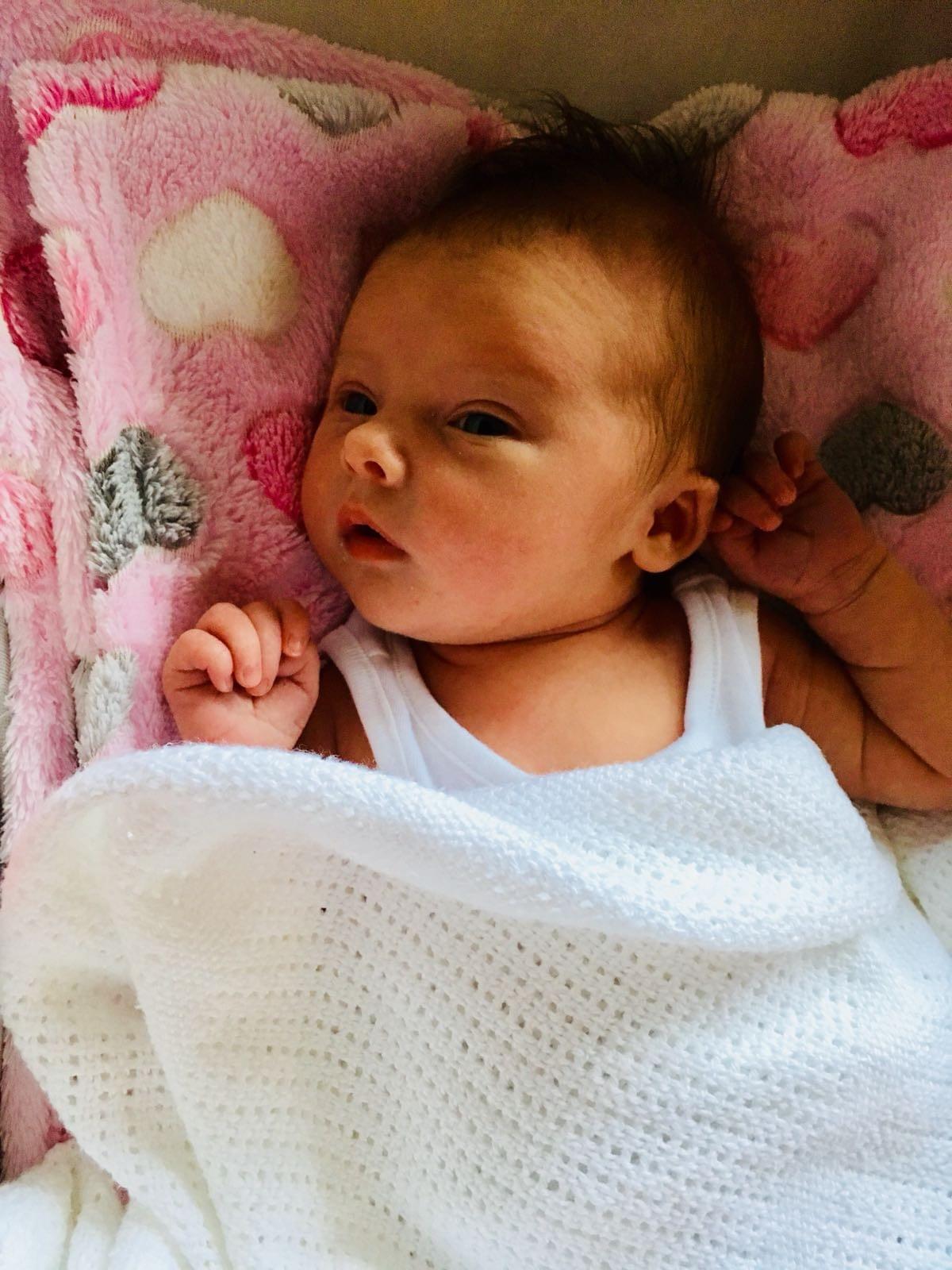 Picture of Untitled Image