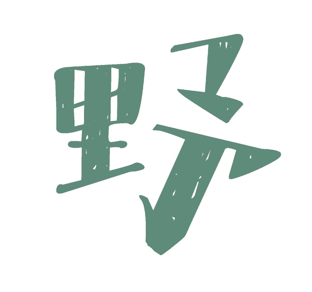 broken image